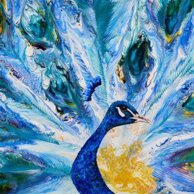 A Peacock with feathers displayed