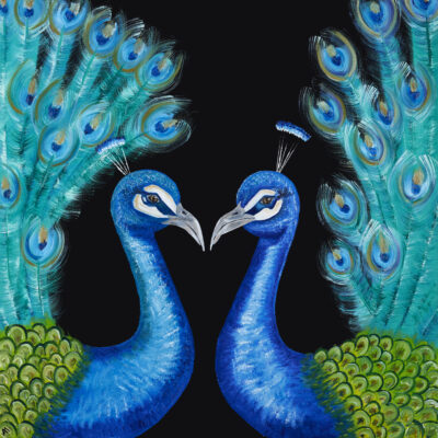2 Peacocks facing each other on a black background